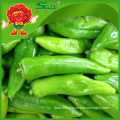 IQF frozen chilli, cheap green chillies